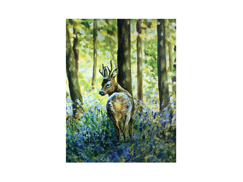 Early Morning Jenkinstown